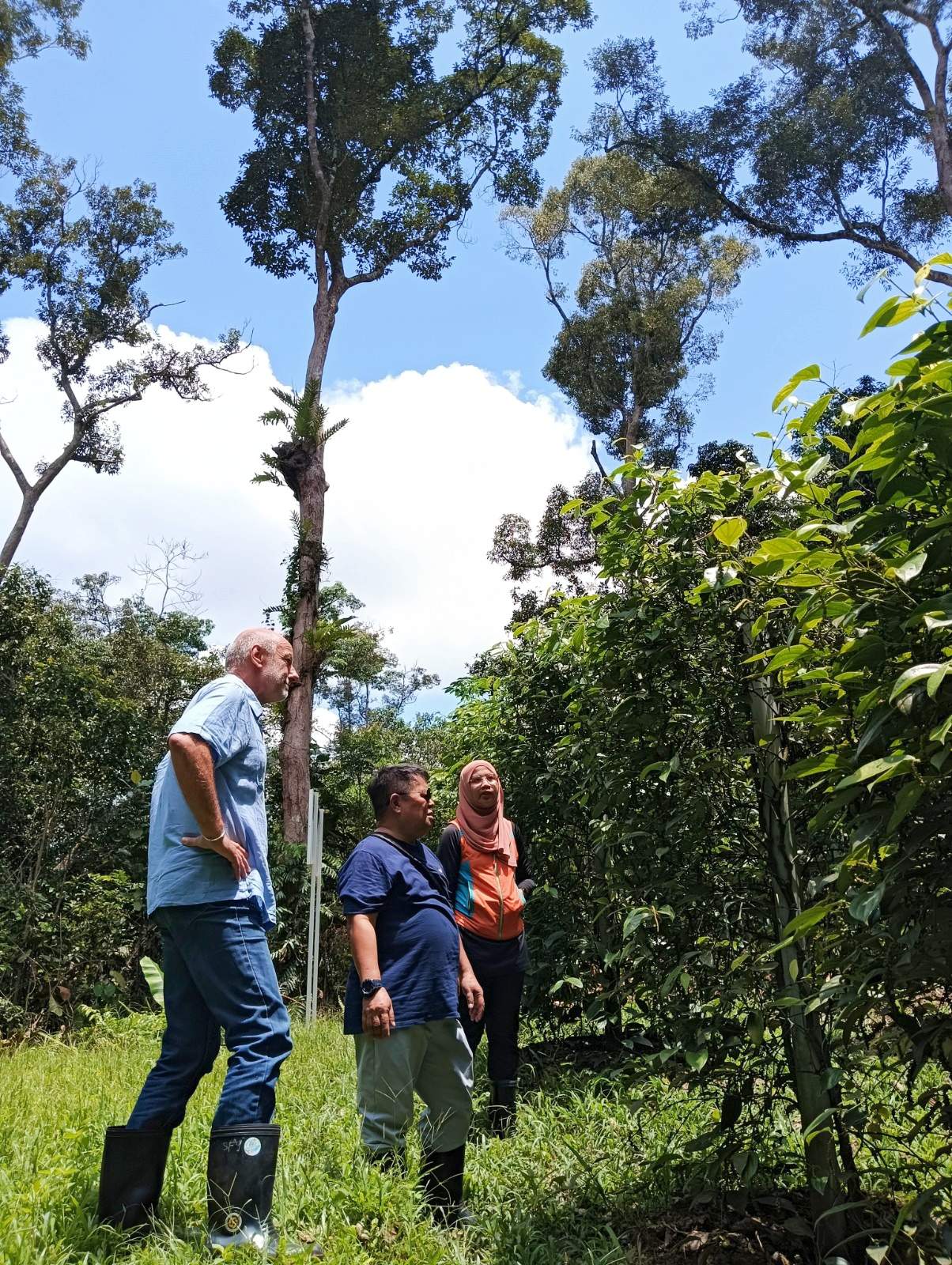 Visitors exploring Satoyama Farm agrotourism activities